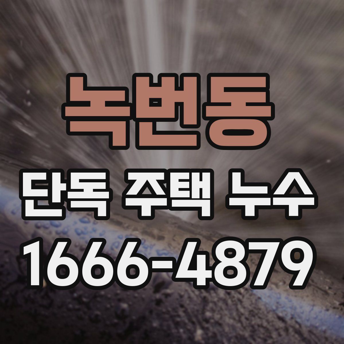 녹번동 단독 주택 누수