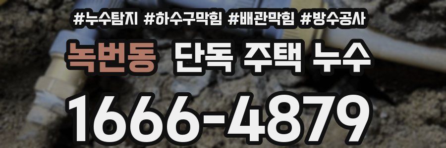 녹번동 단독 주택 누수