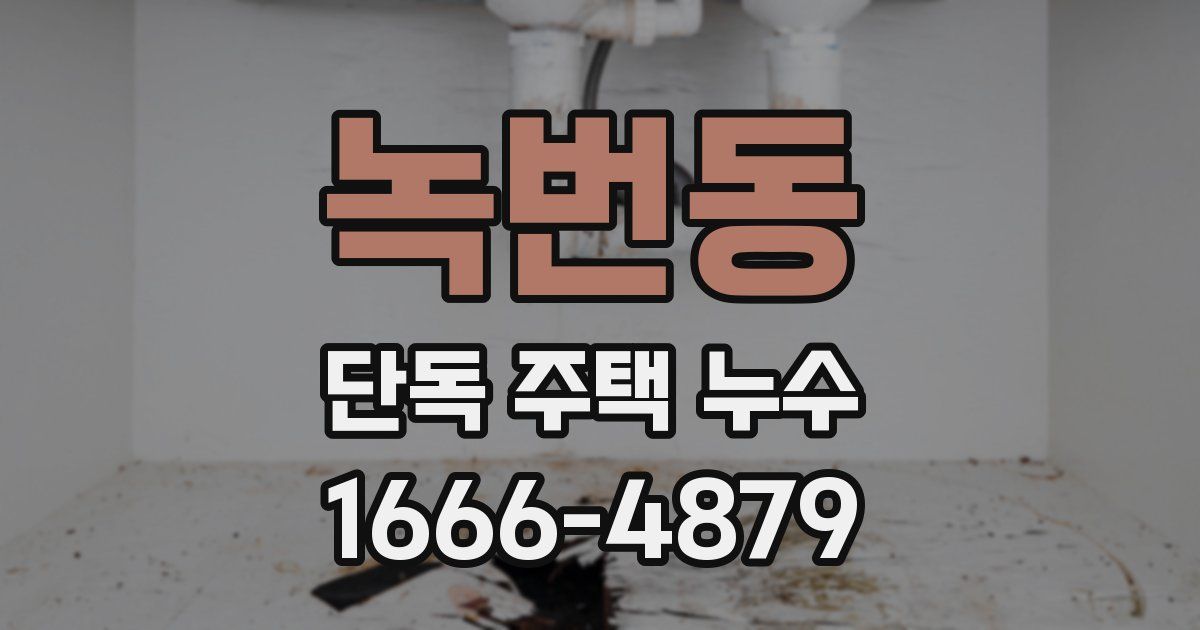 녹번동 단독 주택 누수