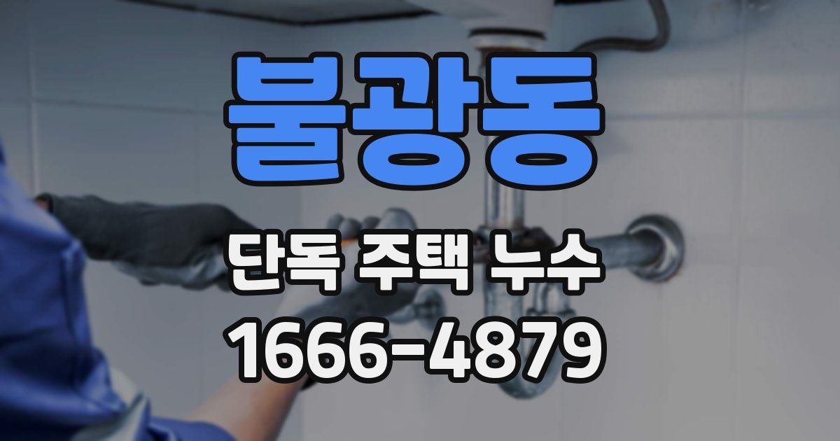 불광동 단독 주택 누수