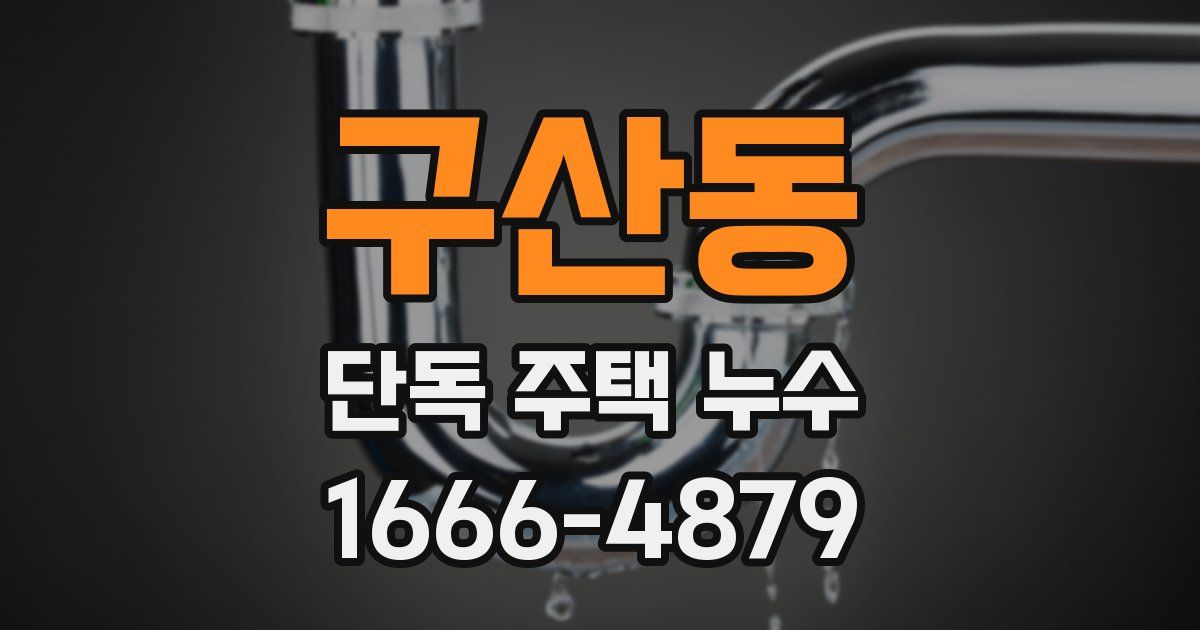 구산동 단독 주택 누수