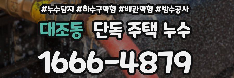 대조동 단독 주택 누수