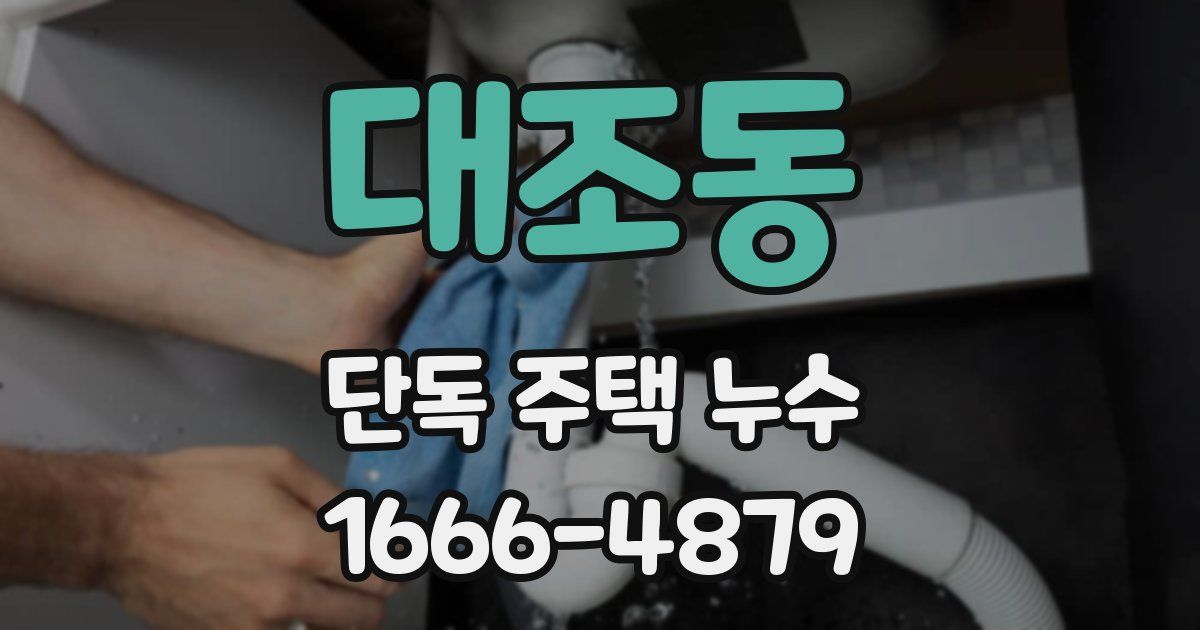 대조동 단독 주택 누수