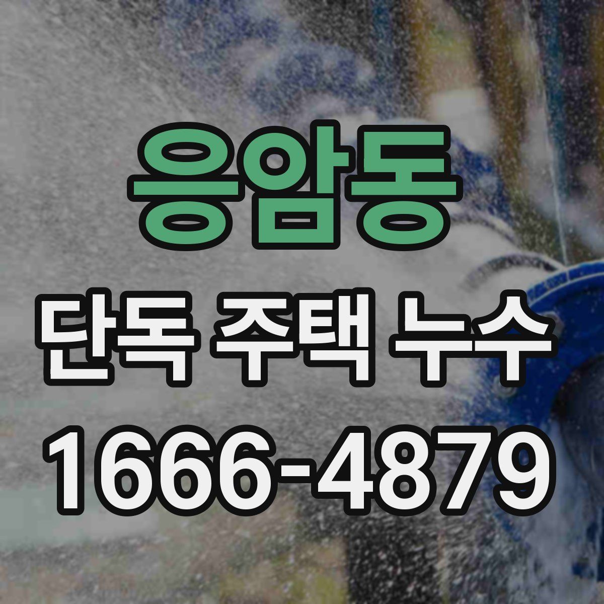 응암동 단독 주택 누수