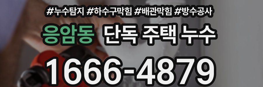 응암동 단독 주택 누수