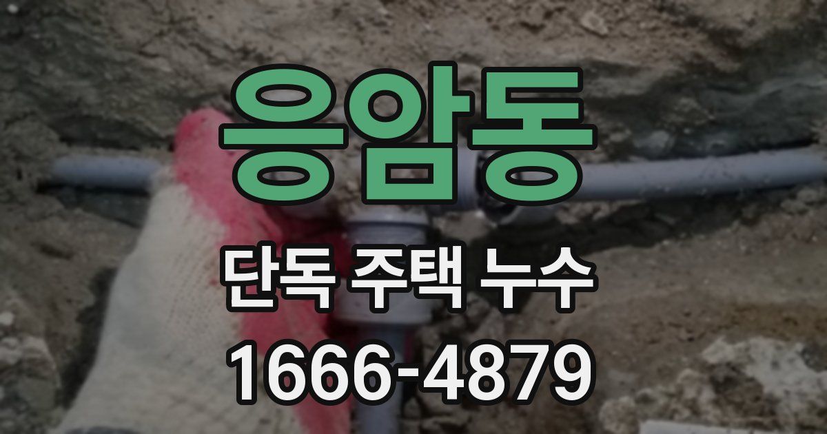 응암동 단독 주택 누수