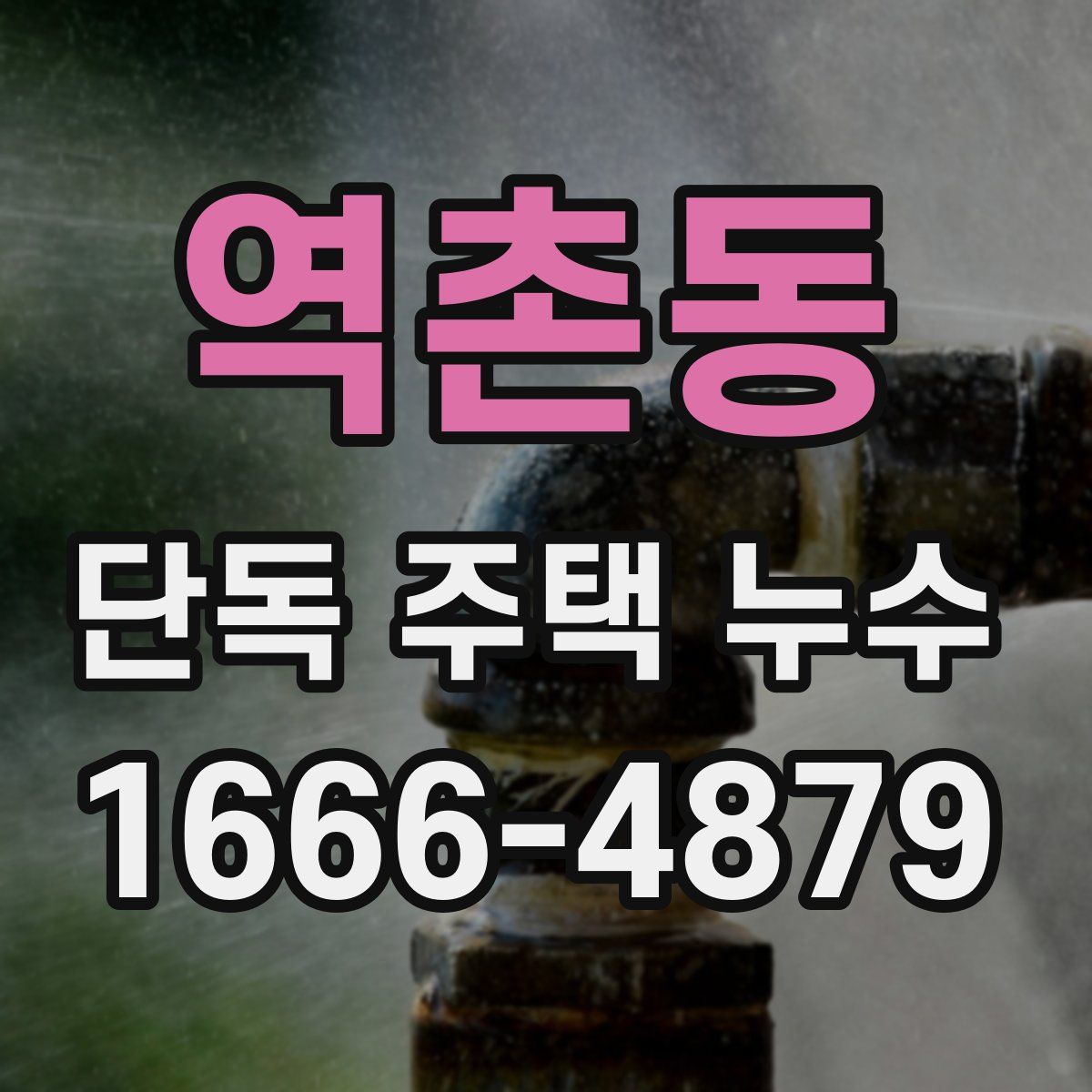 역촌동 단독 주택 누수