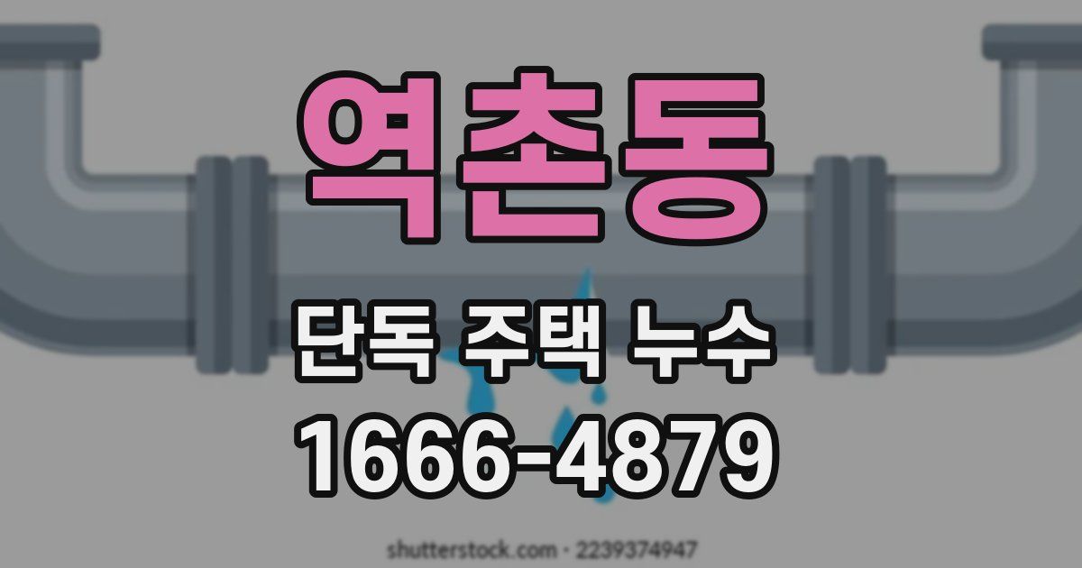 역촌동 단독 주택 누수