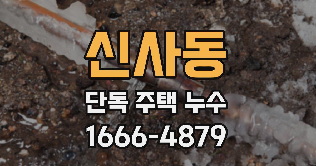 신사동 단독 주택 누수