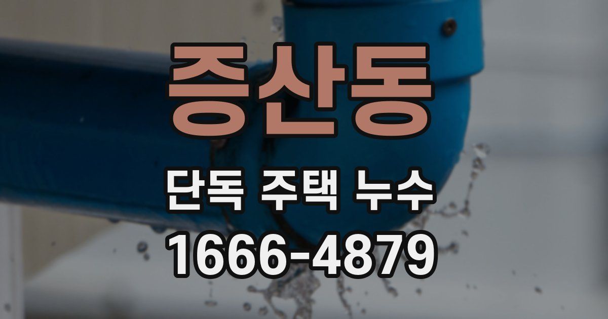 증산동 단독 주택 누수