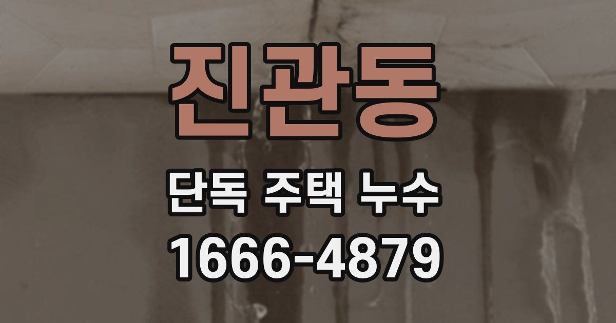진관동 단독 주택 누수