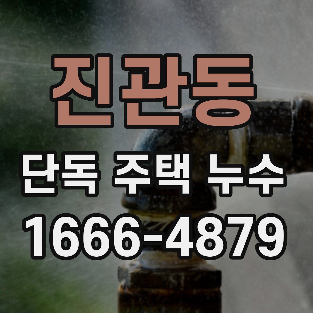 진관동 단독 주택 누수