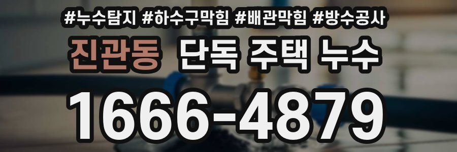 진관동 단독 주택 누수