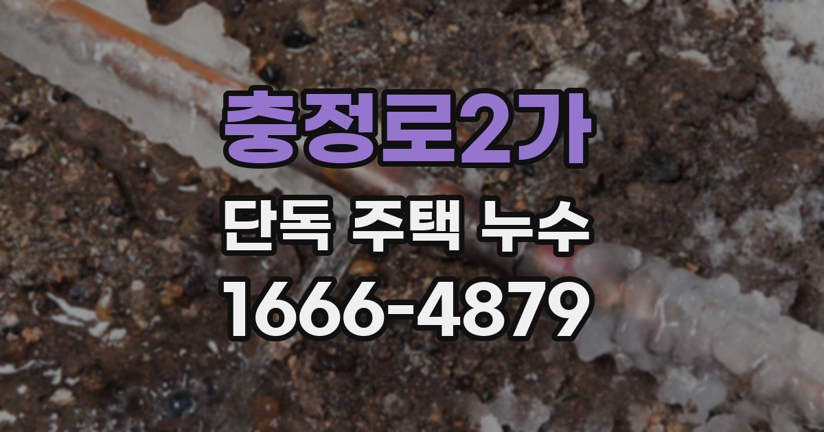 충정로2가 단독 주택 누수