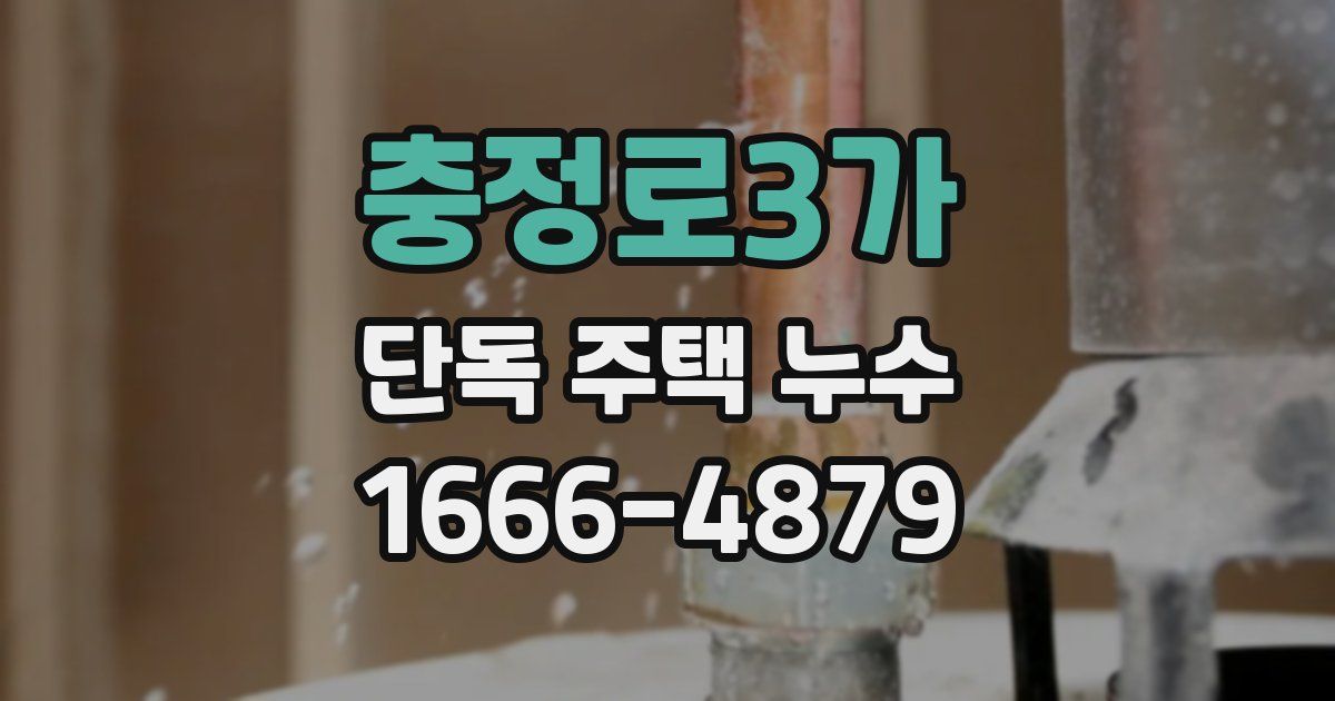충정로3가 단독 주택 누수