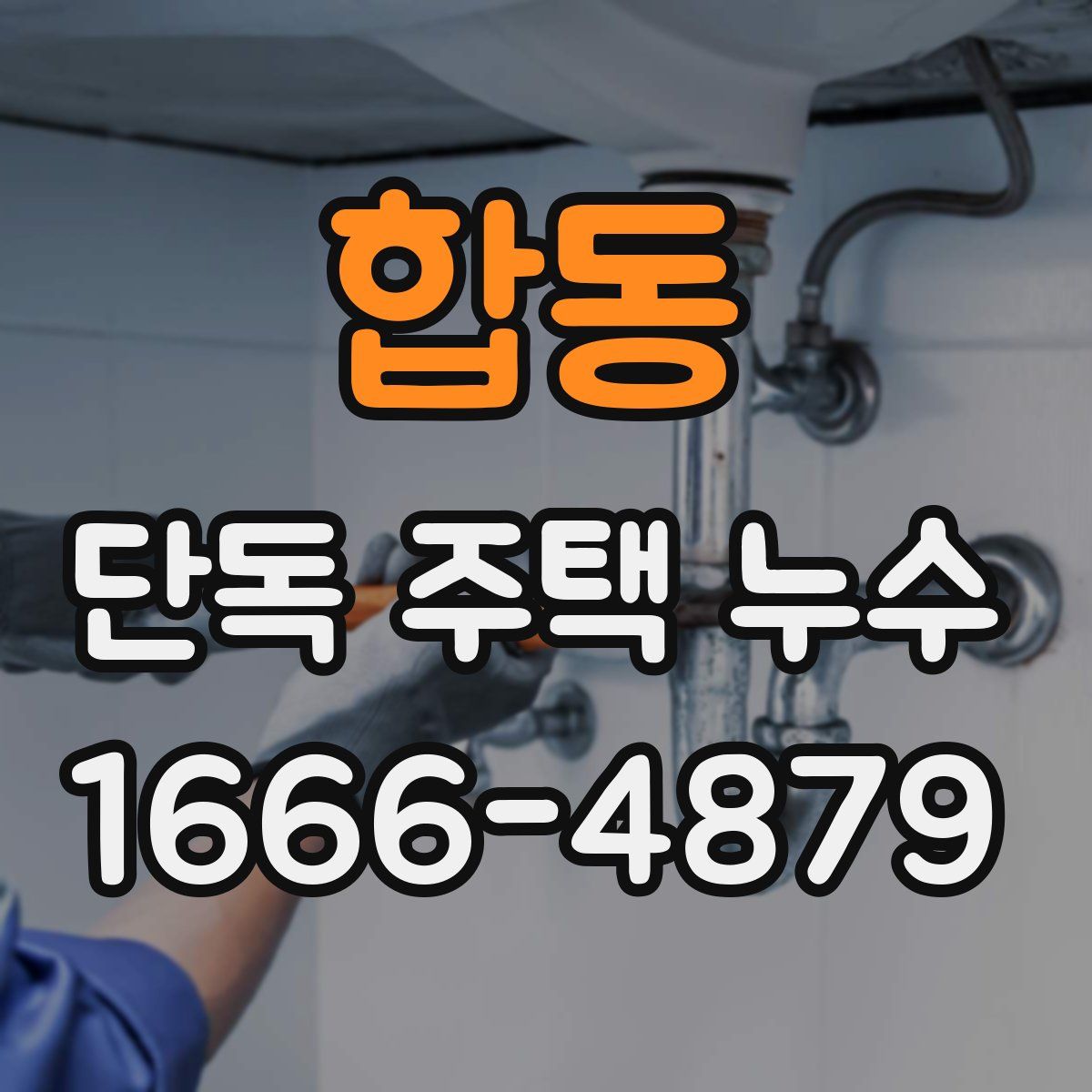 합동 단독 주택 누수