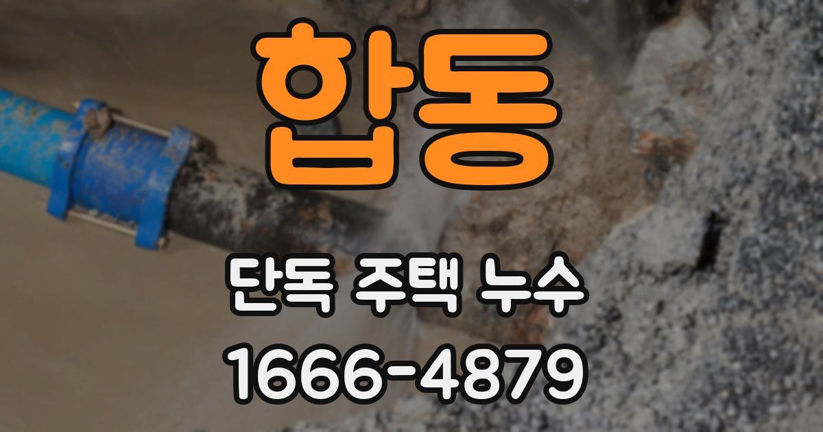 합동 단독 주택 누수