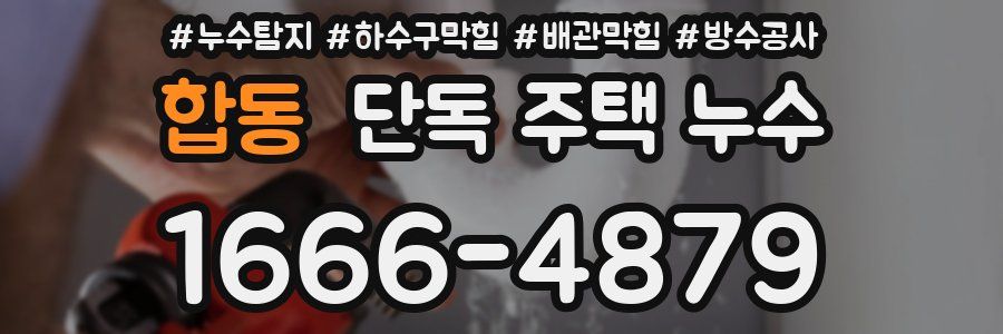 합동 단독 주택 누수