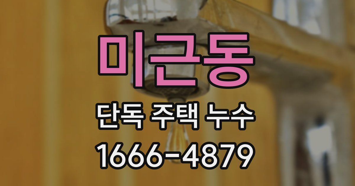 미근동 단독 주택 누수