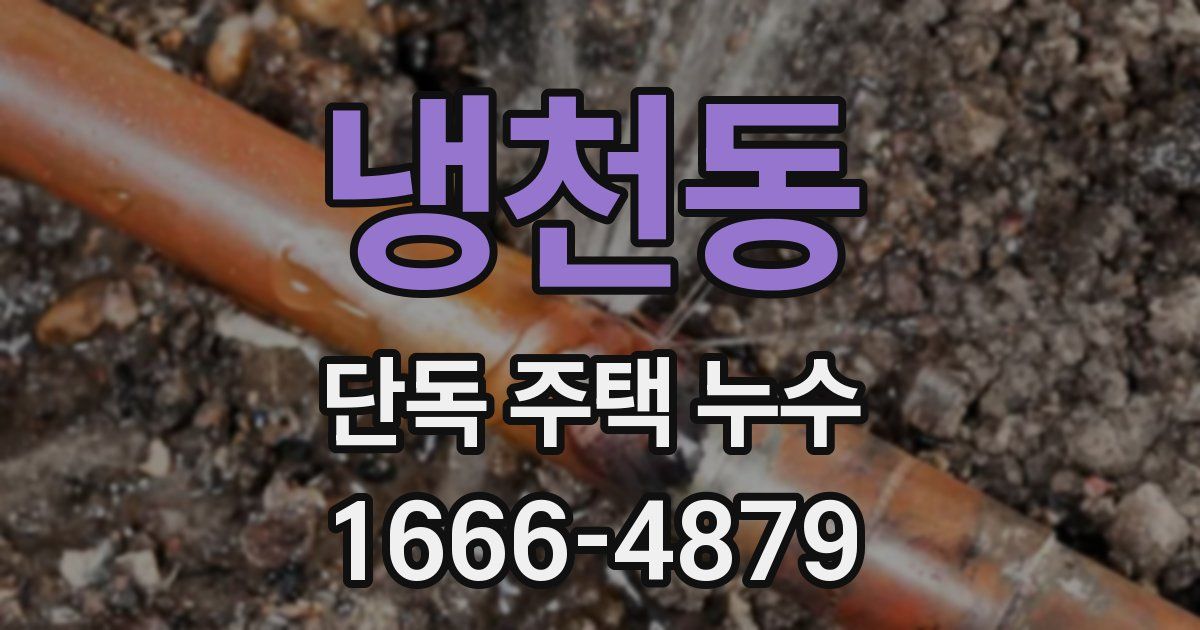 냉천동 단독 주택 누수