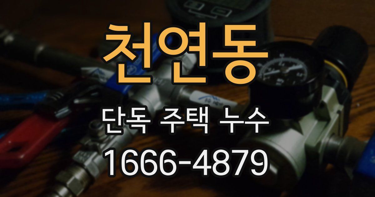 천연동 단독 주택 누수