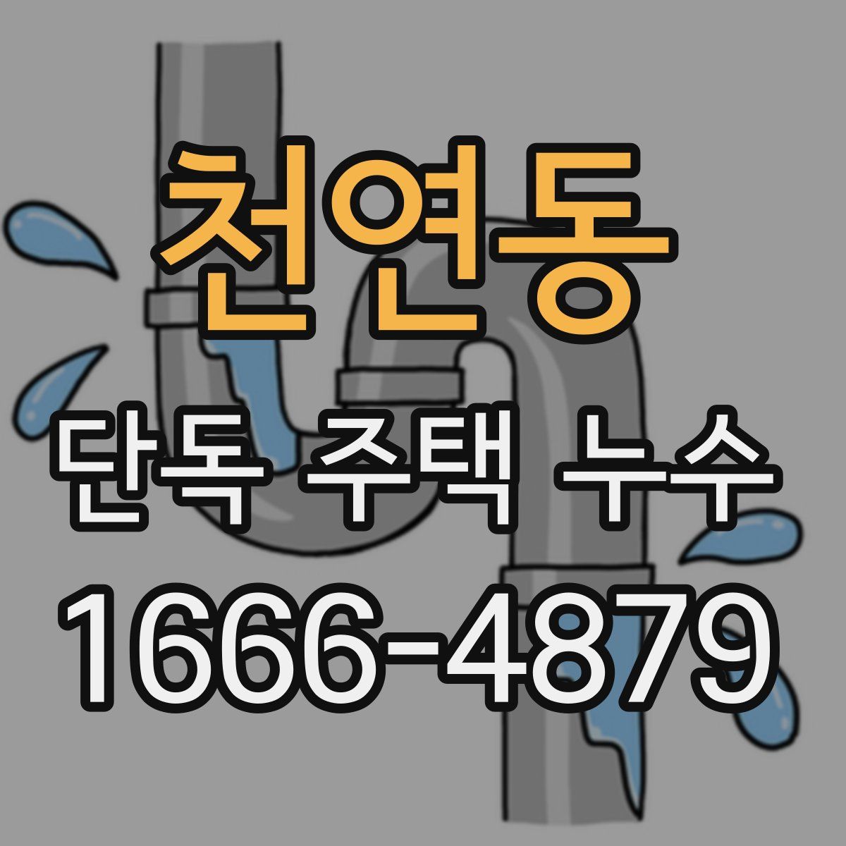 천연동 단독 주택 누수