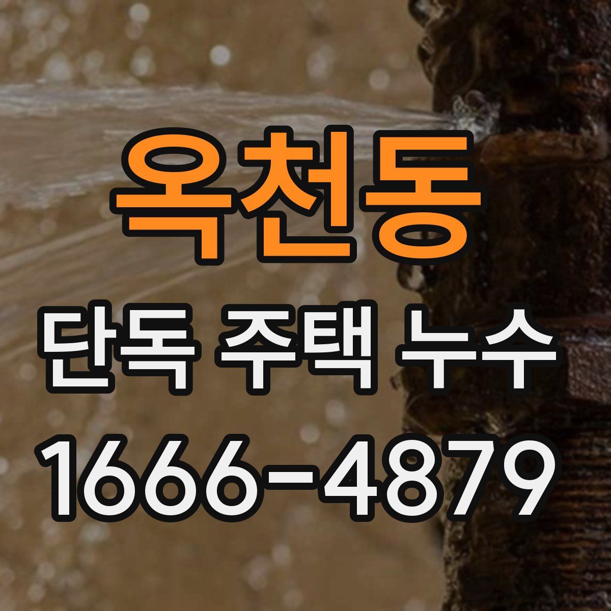 옥천동 단독 주택 누수