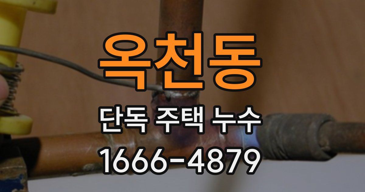 옥천동 단독 주택 누수