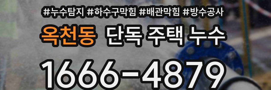 옥천동 단독 주택 누수