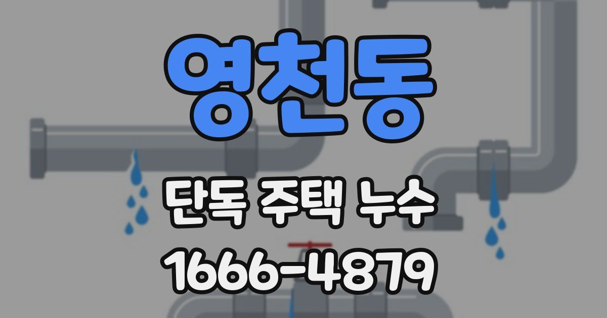 영천동 단독 주택 누수