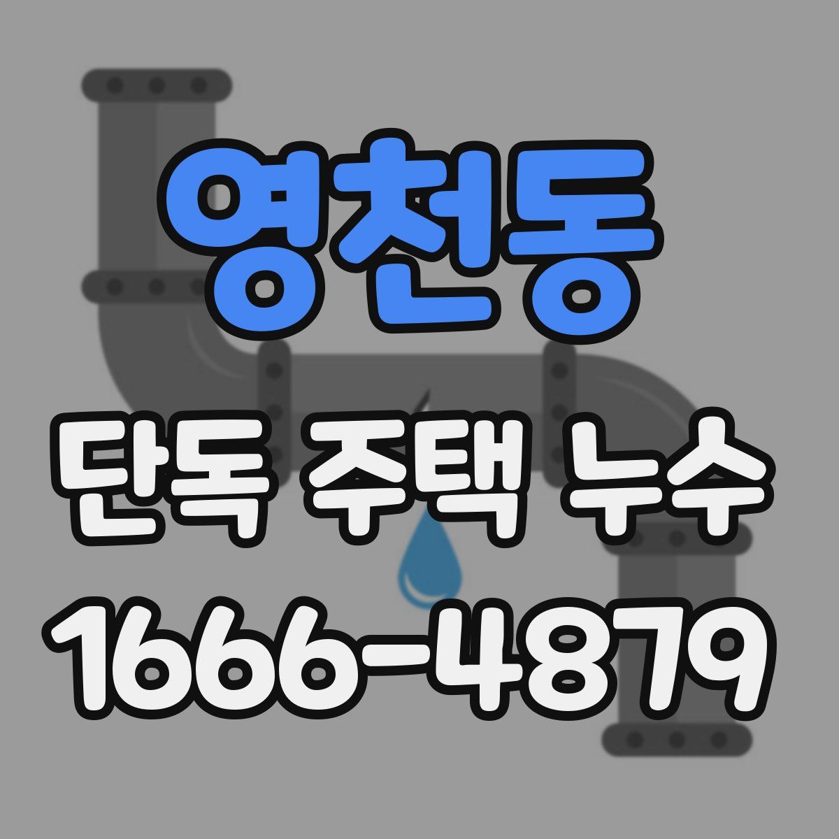 영천동 단독 주택 누수