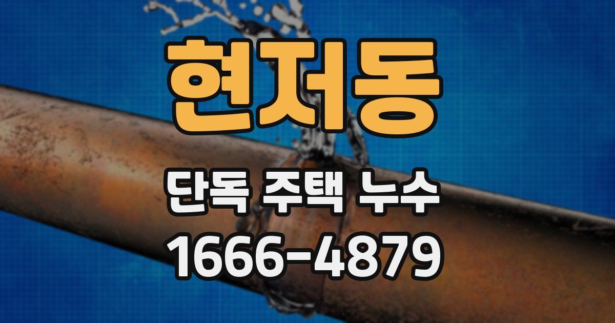 현저동 단독 주택 누수