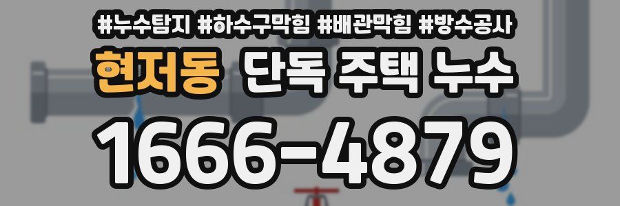현저동 단독 주택 누수