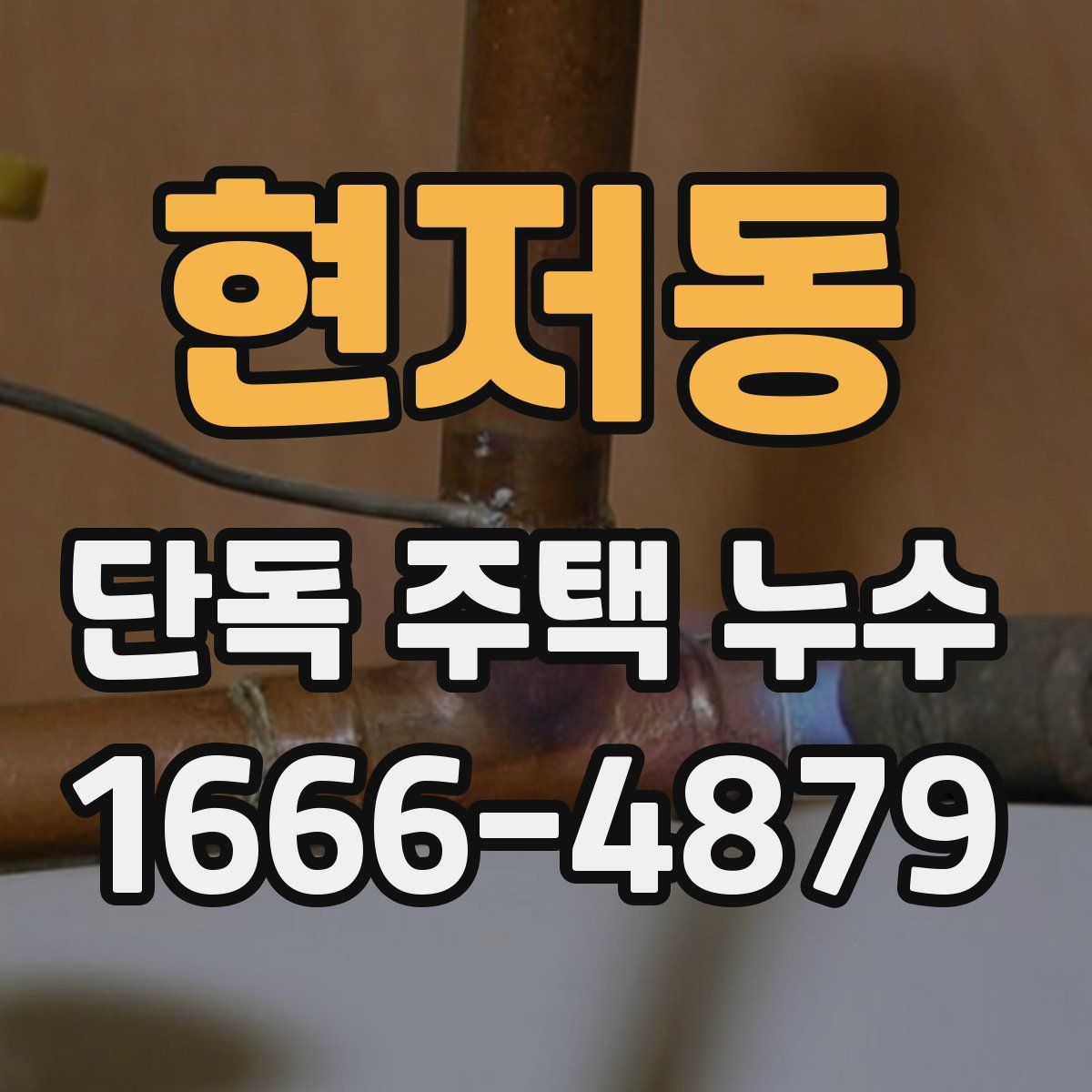 현저동 단독 주택 누수