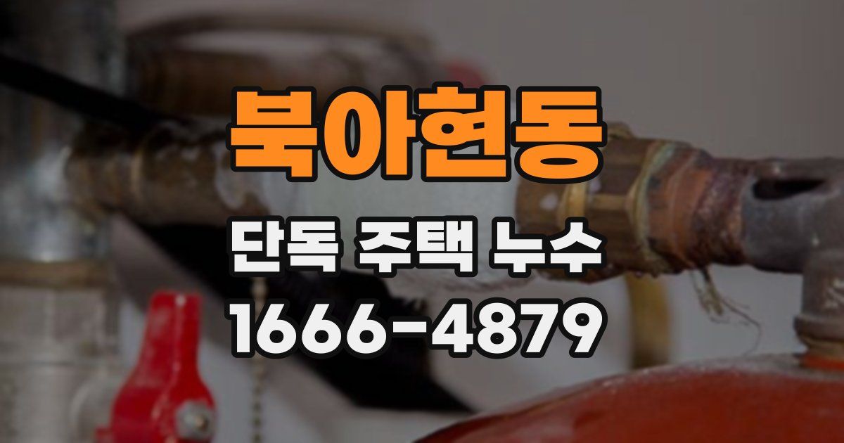북아현동 단독 주택 누수
