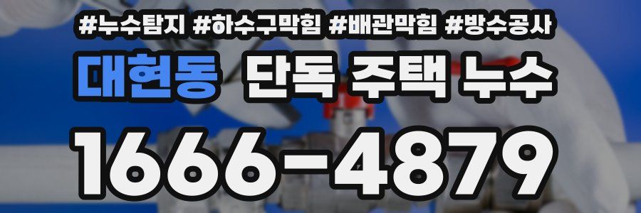 대현동 단독 주택 누수