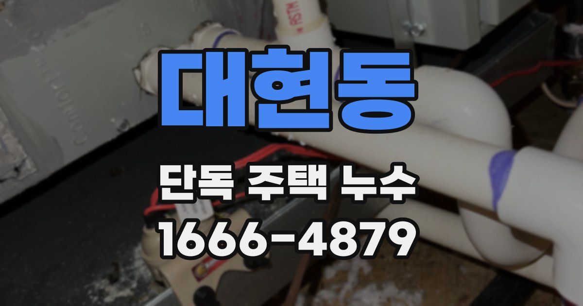 대현동 단독 주택 누수