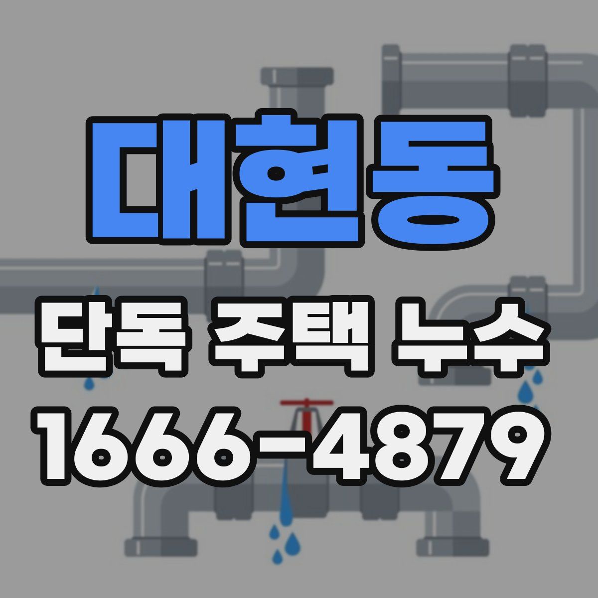 대현동 단독 주택 누수
