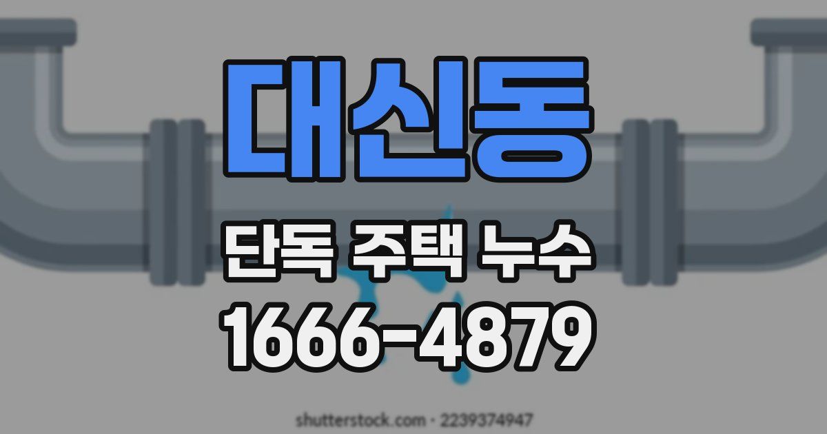 대신동 단독 주택 누수