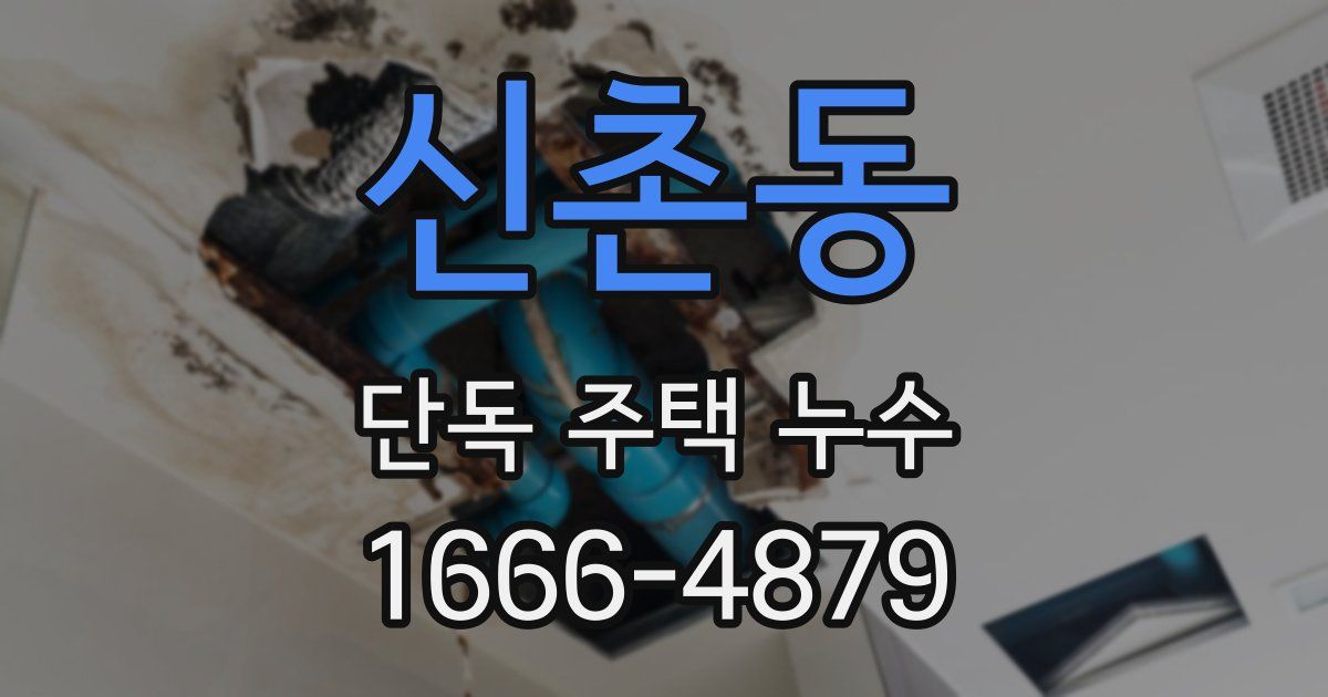 신촌동 단독 주택 누수