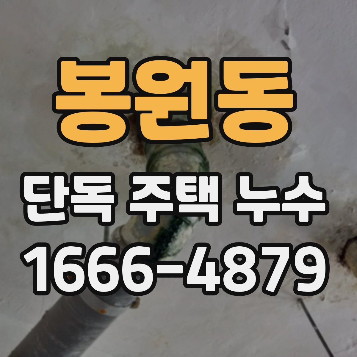 봉원동 단독 주택 누수
