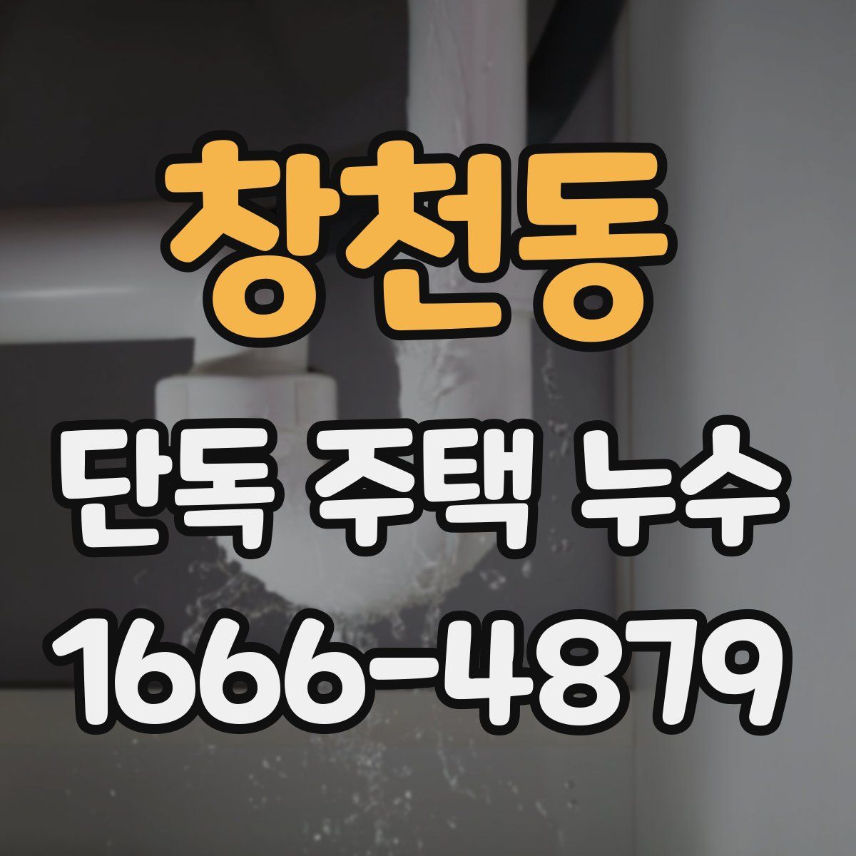창천동 단독 주택 누수