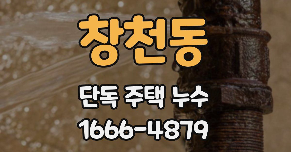 창천동 단독 주택 누수