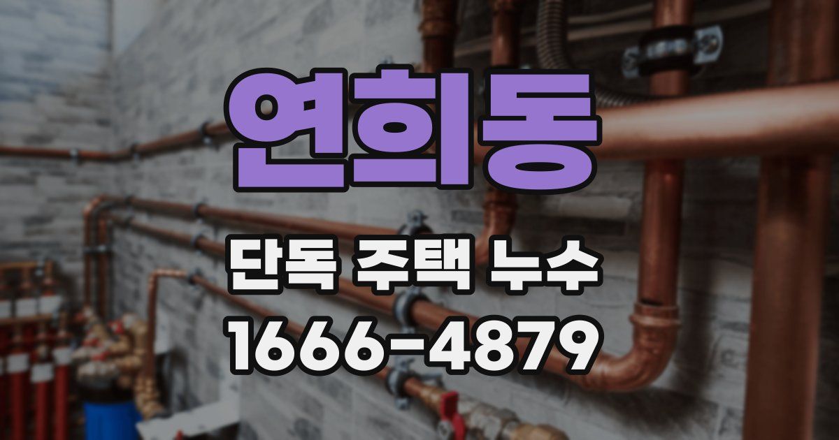 연희동 단독 주택 누수