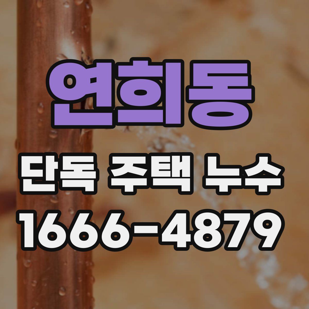 연희동 단독 주택 누수