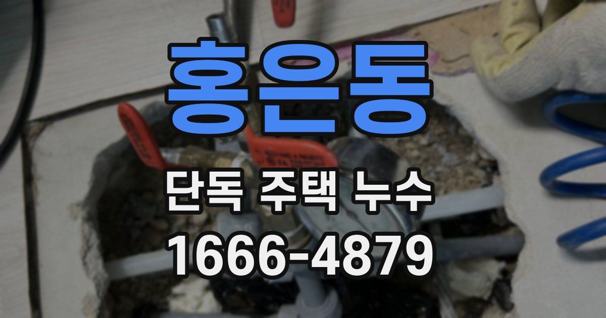 홍은동 단독 주택 누수