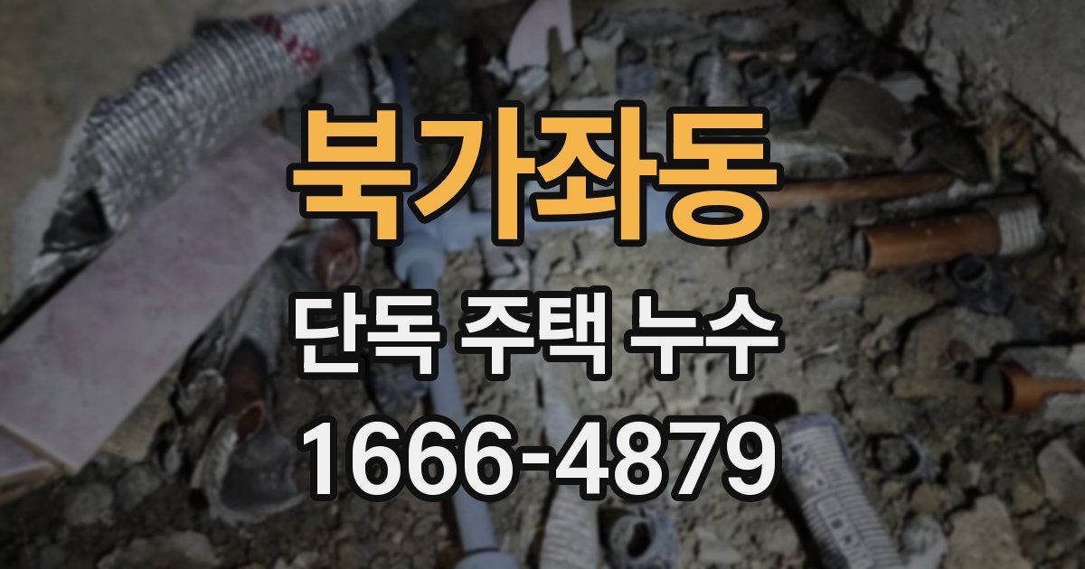 북가좌동 단독 주택 누수