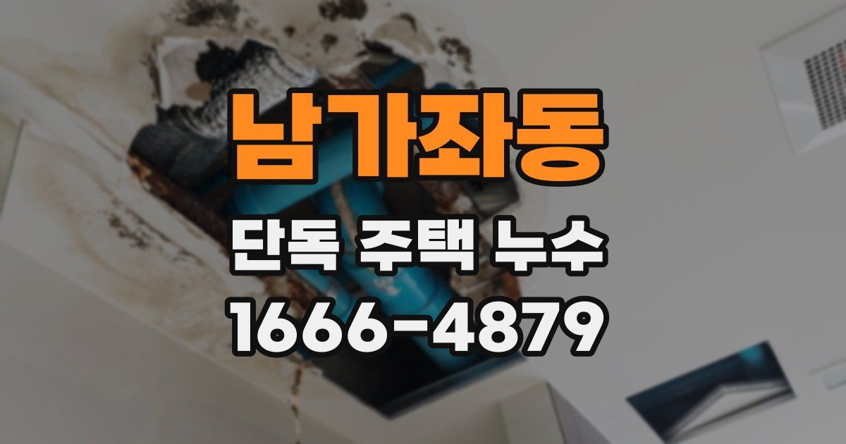 남가좌동 단독 주택 누수
