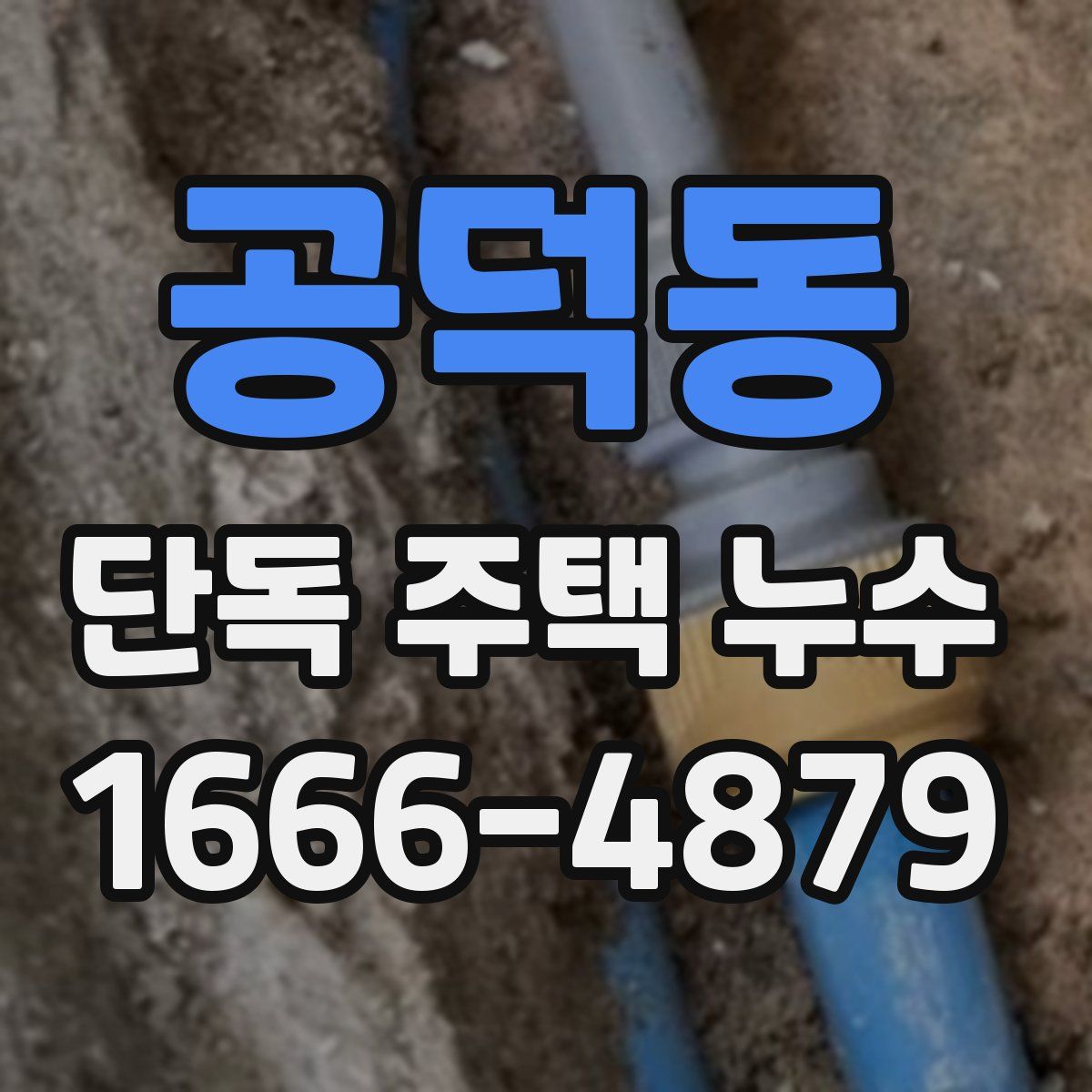 공덕동 단독 주택 누수