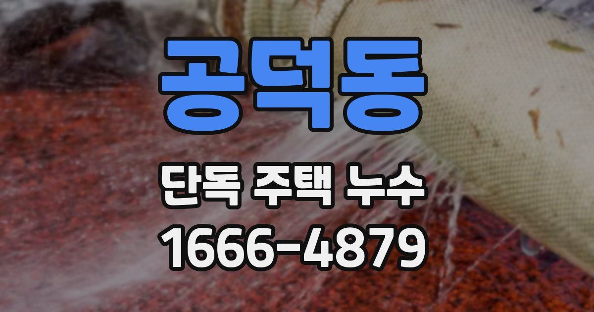 공덕동 단독 주택 누수